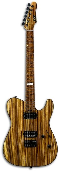 ESP USA Limited Edition TEII Zebra Electric Guitar (with Case), Main