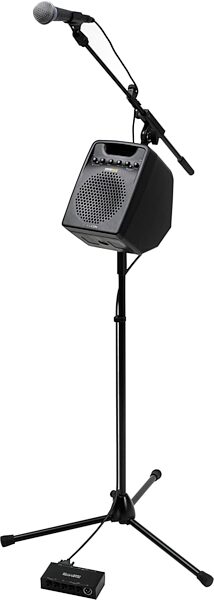 TC Helicon VSM300 VoiceSolo Active Monitor, On Mic Stand