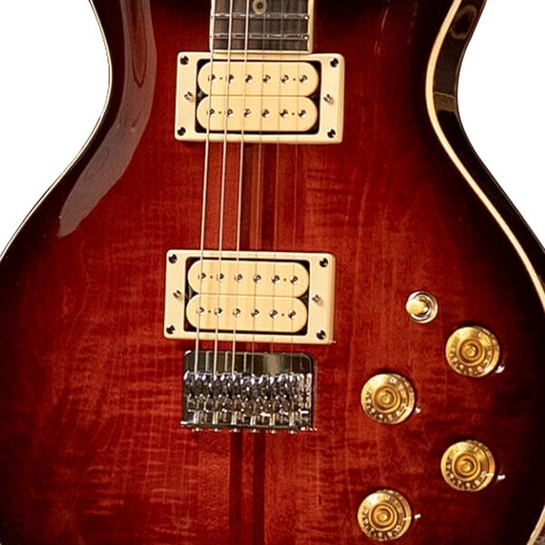 Washburn USA Hawk Electric Guitar, Vintage Sunburst, Action Position Back