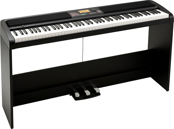Korg XE20SP Digital Piano (with Stand), Action Position Back