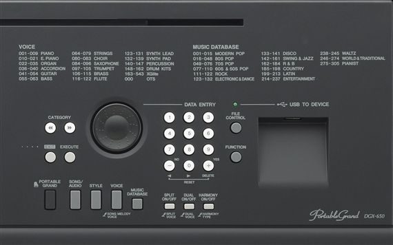 Yamaha DGX-650 Digital Home Piano, Detail