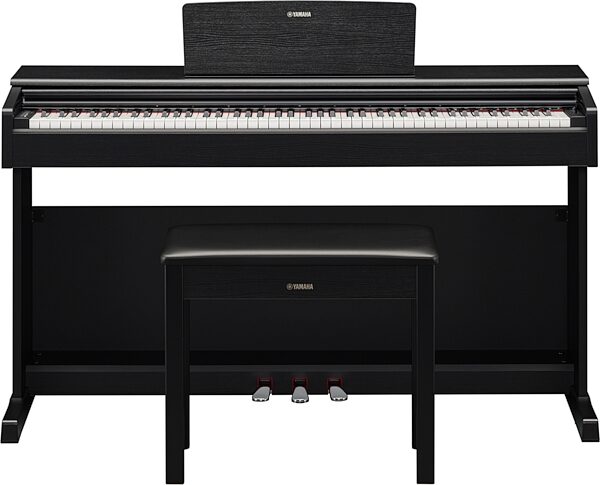 Yamaha Arius YDP-145 Digital Piano, Black Walnut, Action Position Back
