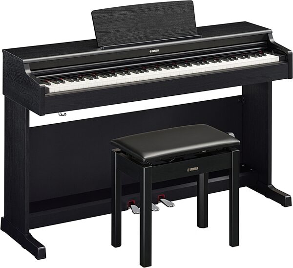 Yamaha Arius YDP-165 Digital Piano, Black Walnut, Action Position Back
