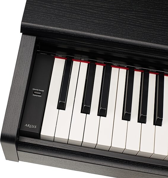 Yamaha YDP-105 Arius Digital Piano (with Bench), Rosewood, YDP-105R, Action Position Back