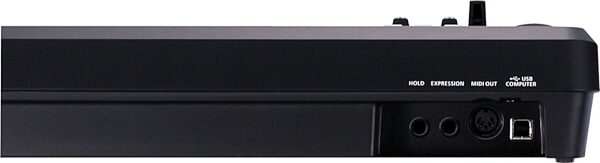 Roland A-49 USB MIDI Keyboard Controller, 49-Key, Black, Black Back Zoom