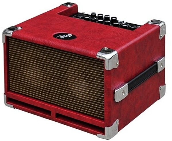 Phil Jones BG100 Bass Cub Combo Amplifier (100 Watts, 2x5"), Red Angle