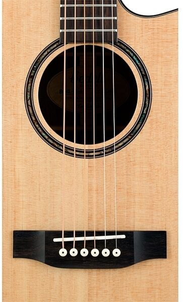 Bedell BSDCE-18-G Encore Acoustic-Electric Guitar with Gig Bag, Soundhole