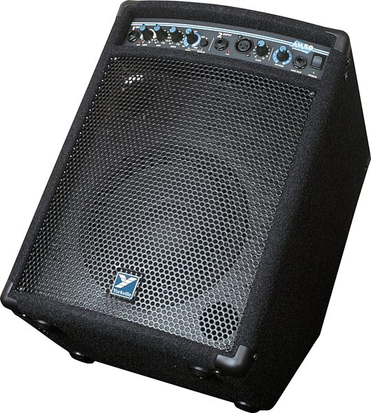 Traynor AM50 Acoustic Combo Amplifier with Reverb (50 Watts, 1x8 in.), Main