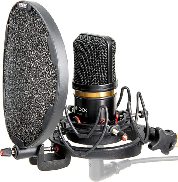 Audix A231 Large-Diaphragm Cardioid Condenser Microphone, With Rycote USM shock mount / pop filter, Open Box (Like New), Main
