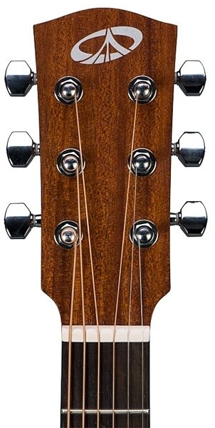 Bedell BDD-18-M Discovery Acoustic Guitar with Gig Bag, Headstock