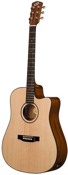 Bedell BDDCE-18-M Discovery Acoustic-Electric Guitar with Gig Bag, Angle