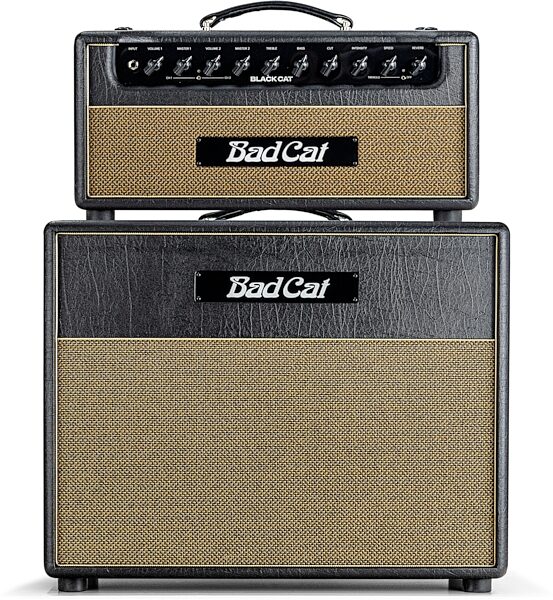 Bad Cat Black Cat Guitar Speaker Cabinet (60 Watts, 1x12"), New, Main with head Front