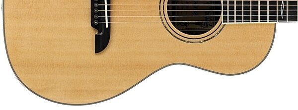 Alvarez AP70 Parlor Acoustic Guitar, Bottom