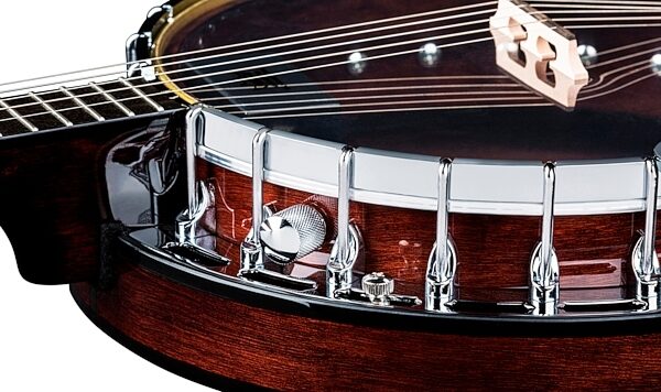 Dean Backwoods 2 Pro Acoustic-Electric Banjo, Detail Side