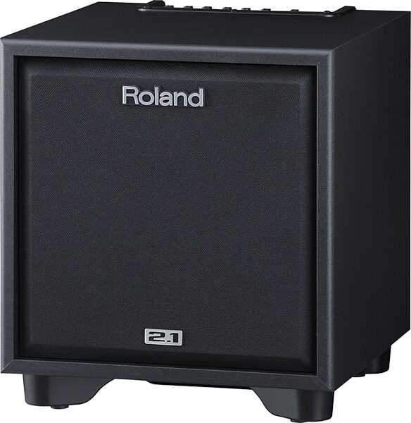 Roland CM-110 Cube Monitor Speaker System, Subwoofer