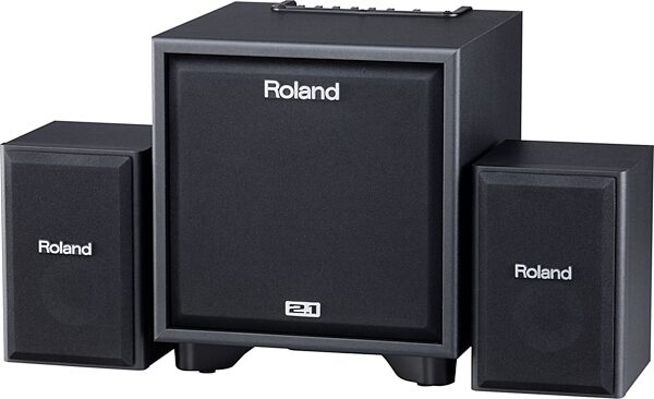 Roland CM-110 Cube Monitor Speaker System, Main
