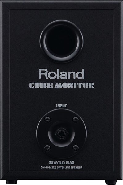 Roland CM-110 Cube Monitor Speaker System, Speaker Back