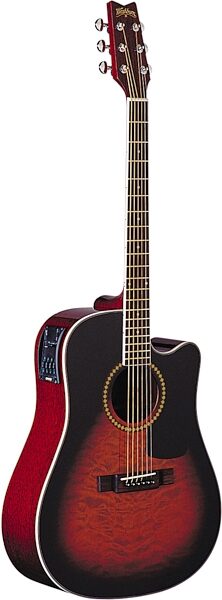 Washburn D10CEQ Dreadnought Cutaway Acoustic-Electric Guitar (with Case), Main