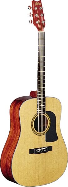Washburn D10S Dreadnought Acoustic Guitar (With Case), Main