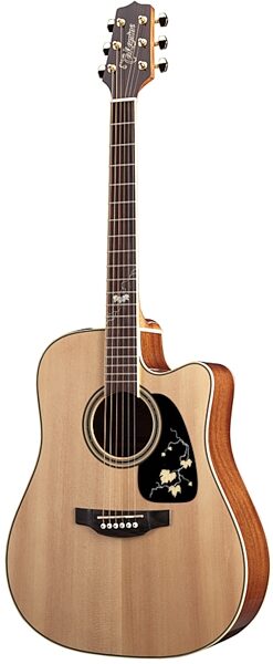 Takamine EG50TH 50th Anniversary Edition G Series Acoustic-Electric Guitar, Angle