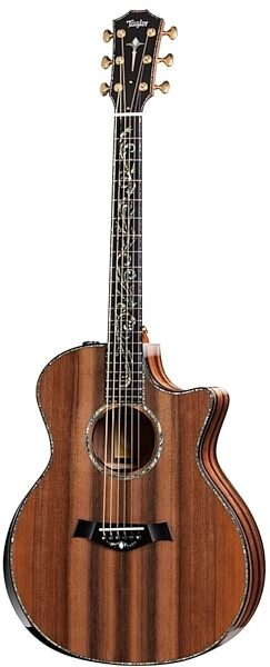 Taylor PS14ce 2012 Fall Limited Edition Acoustic-Electric Guitar, Main