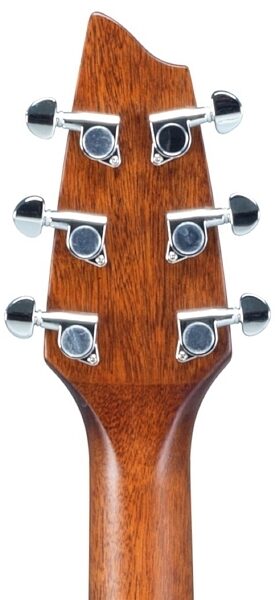 Breedlove Passport Plus C250/Sre Acoustic-Electric Guitar (with Gig Bag), Headstock Back