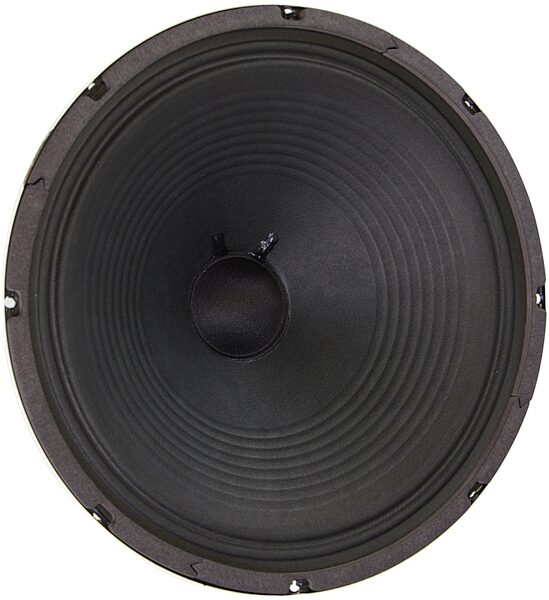 Eminence EJ1250 Eric Johnson Guitar Speaker, 50 Watts and 12", Front