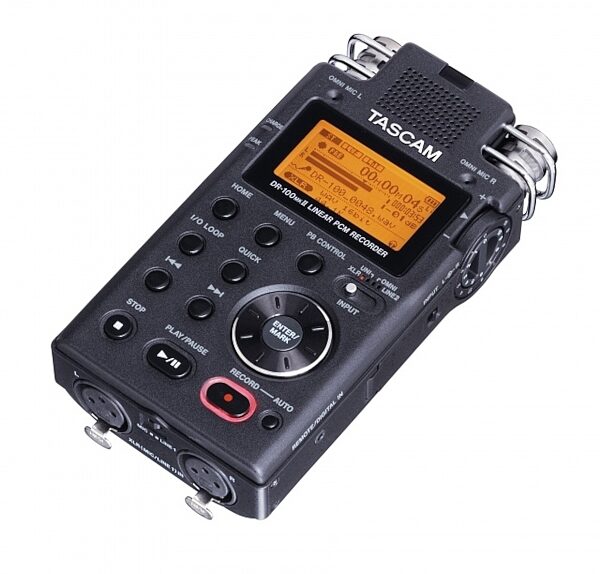 TASCAM DR100 MKII Portable Digital Recorder, Right Angle