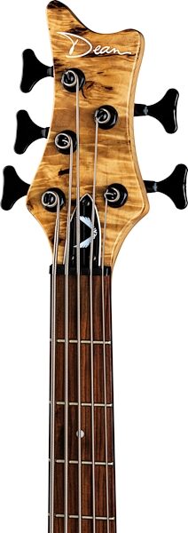 Dean Edge Select 5 Electric Bass, 5-String, Detail Headstock