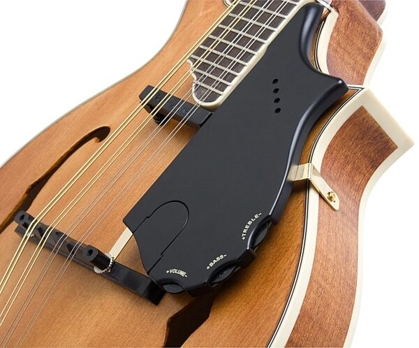 Epiphone MM-50E F-Style Acoustic-Electric Mandolin, Closeup Body