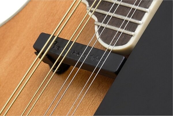 Epiphone MM-50E F-Style Acoustic-Electric Mandolin, Closeup Pickup