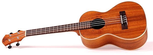 aNueNue Lani II Koa Concert Ukulele (with Gig Bag), Side 1