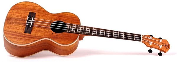 aNueNue Lani II Koa Concert Ukulele (with Gig Bag), Side 2