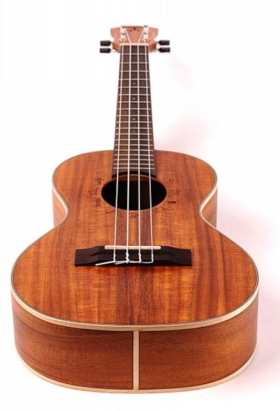 aNueNue Lani II Koa Concert Ukulele (with Gig Bag), Closeup 2