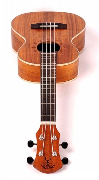 aNueNue Lani II Koa Concert Ukulele (with Gig Bag), Closeup 1