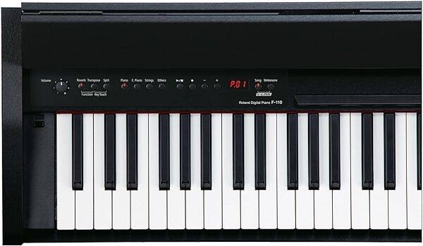 Roland F110 Compact Digital Piano, Closeup