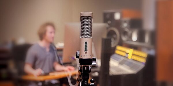 Royer Labs R-10 Large Element Mono Ribbon Microphone, Single Microphone, In Use