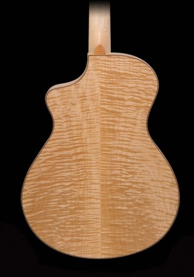 Breedlove J350EF12 Atlas Series Stage 12-String Jumbo Acoustic-Electric Guitar (with Case), Back