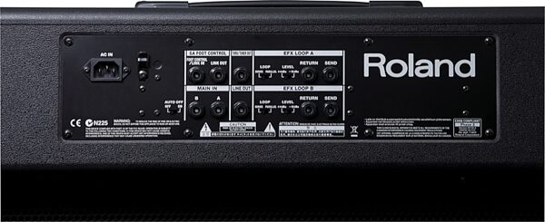 Roland GA-212 Guitar Combo Amplifier, Back