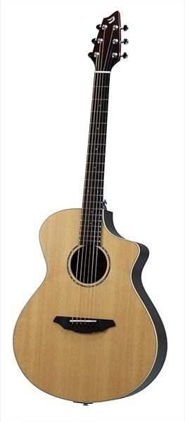 Breedlove Passport Plus C250/Sre Acoustic-Electric Guitar (with Gig Bag), Angle