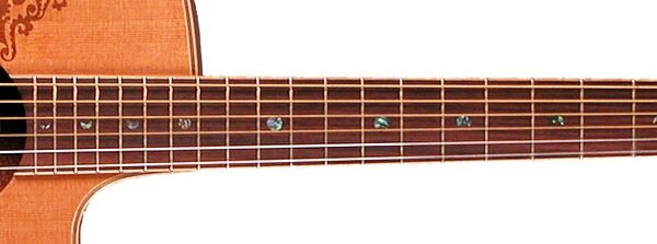 Luna Henna Paradise C Acoustic-Electric Guitar, Neck