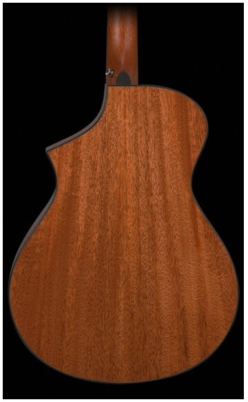 Breedlove D25SM Atlas Series Studio Dreadnought Acoustic-Electric Guitar (with Gig Bag), Back