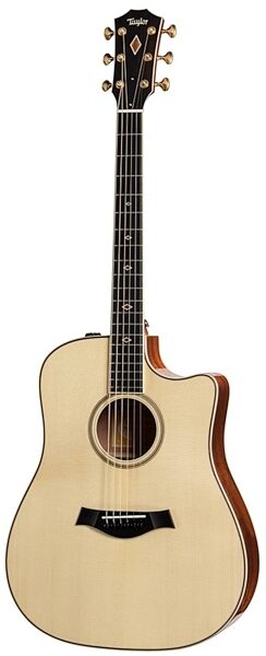 Taylor DNce 2012 Fall Limited Edition Acoustic-Electric Guitar (with Case), Main