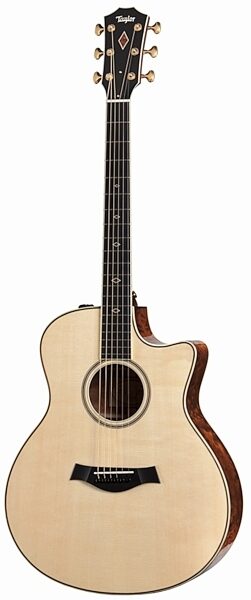 Taylor GSce 2012 Fall Limited Edition Acoustic-Electric Guitar, Main