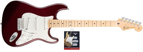 Fender Standard Stratocaster Maple Electric Guitar and Texas Special Pickup Set, Midnight Wine