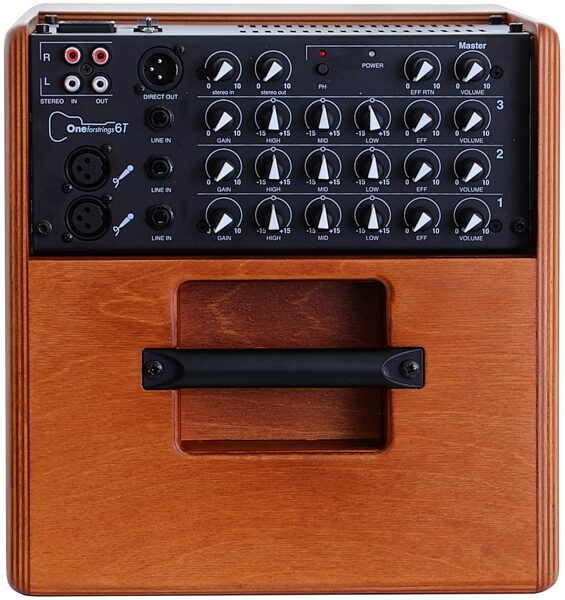 Acus One Forstrings 6T Acoustic Guitar Amplifier (130 Watts, 1x6"), Action Position Back