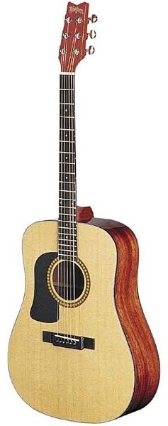 Washburn D10SLH Left-Handed Dreadnought Acoustic Guitar (with Case), Main