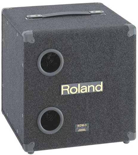 Roland KCW1 Powered Subwoofer (200 Watts), Main