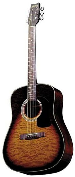 Washburn D10Q Dreadnought Acoustic Guitar (with Case), Main