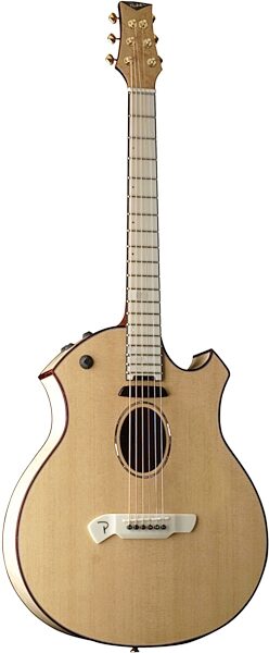 Parker P10E Acoustic-Electric Guitar (with Case), Main